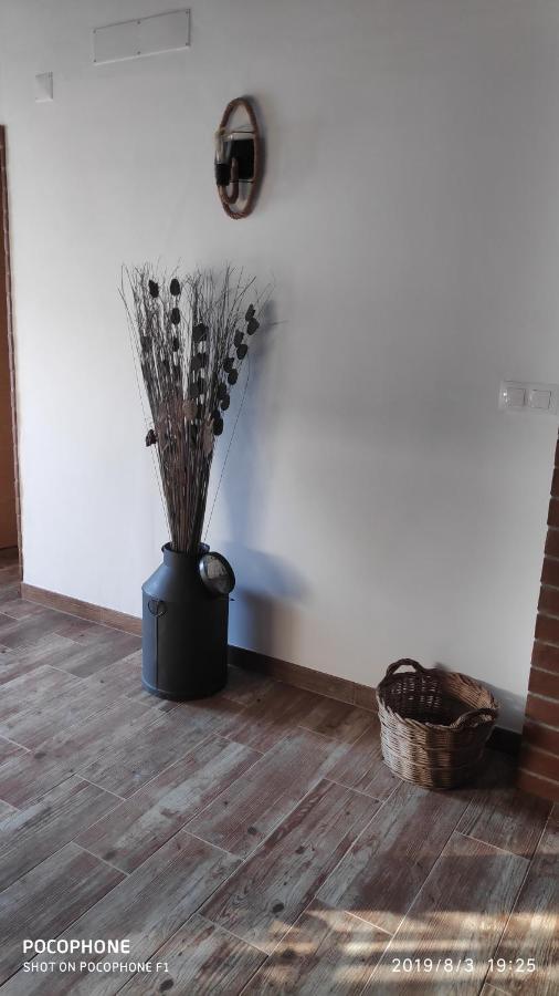 فيلا Casa O Chaparrinho شنتي المظهر الخارجي الصورة